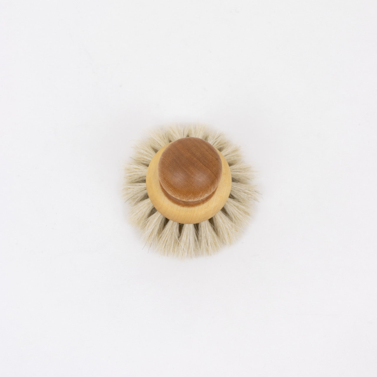 Dish Brush With Knob